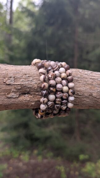 Rannekoru, Ruskea seeprajaspis